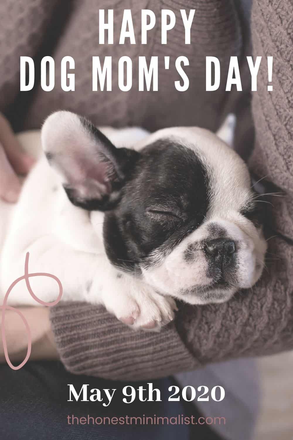 National Dog Mom's Day Healthy Life